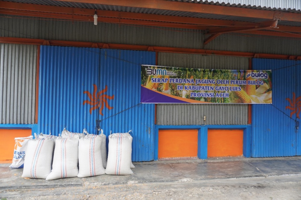 Dukung Ketahanan Pangan, Perum Bulog Mulai Serap Jagung Dari Petani